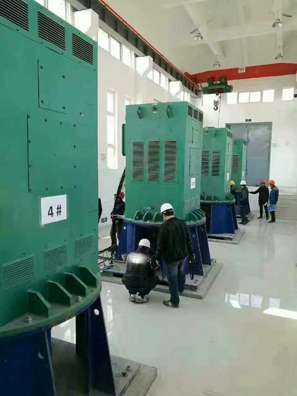 YKS5005-12某污水处理厂使用我厂的立式高压电机安装现场