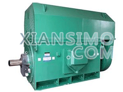 YKS5005-12YXKK(2极)高效高压电机技术参数